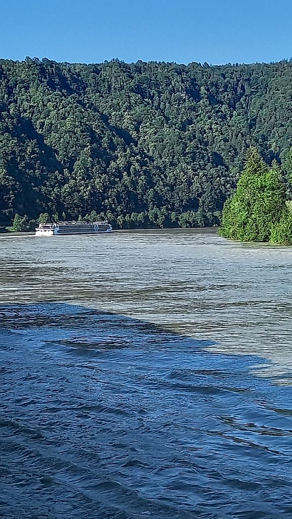 Donau (78)